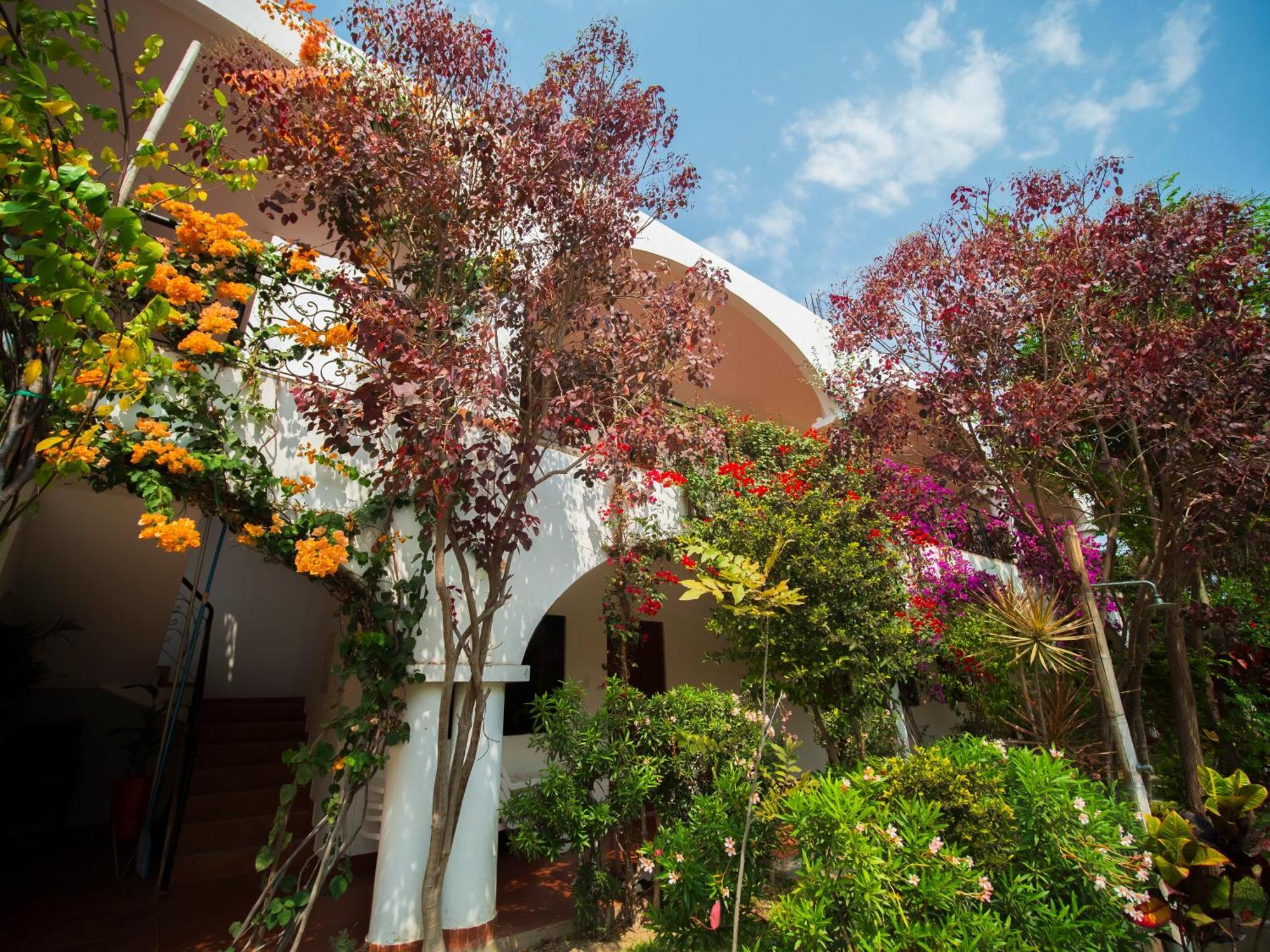 Casa Hotel Mamaluna Lunahuaná Exteriér fotografie