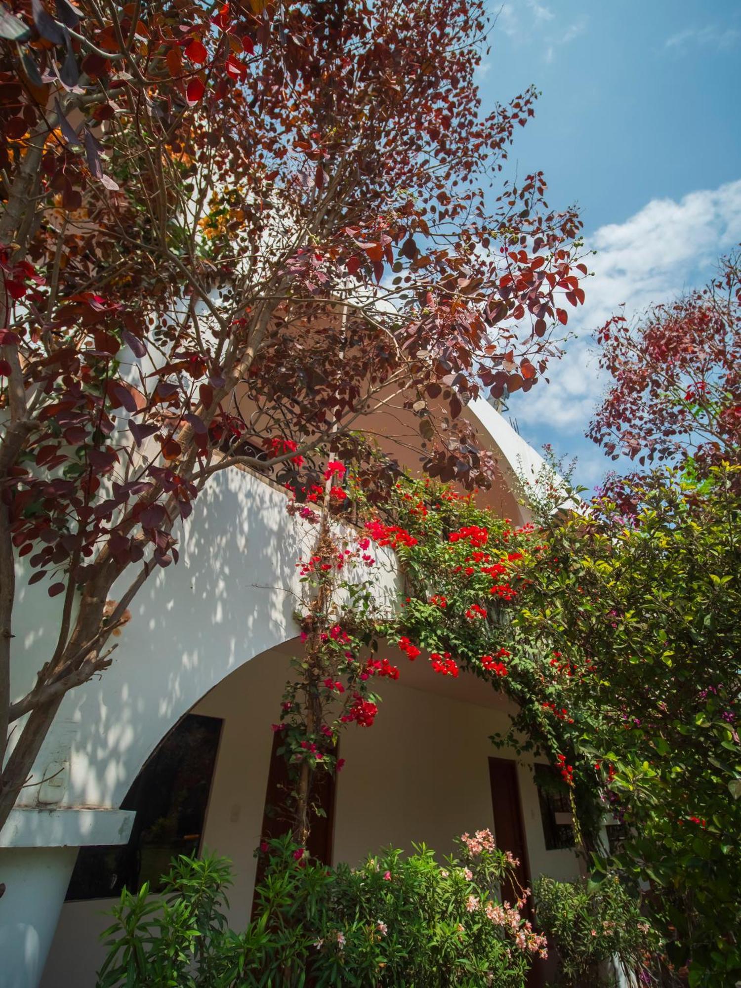 Casa Hotel Mamaluna Lunahuaná Exteriér fotografie